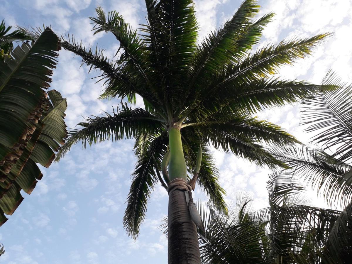 Ti Case Gwada Location Sainte-Anne (Grande-Terre) Exterior foto